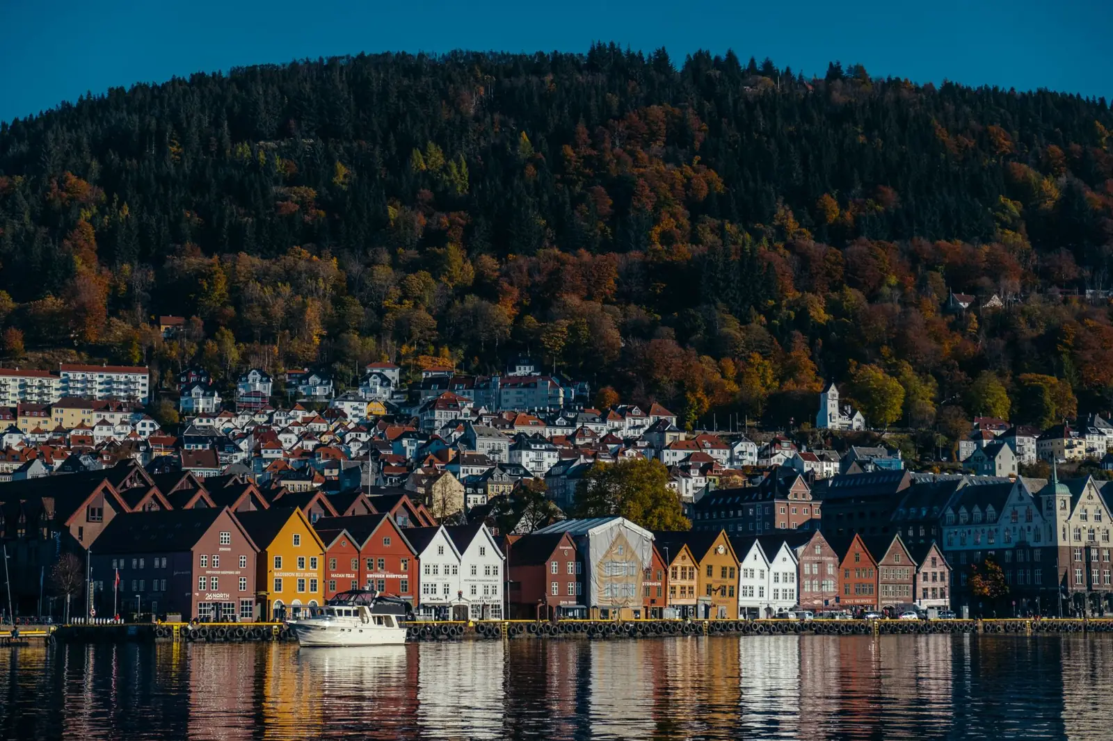 Bryggen and Bergen’s wooded hills reflected in the harbour