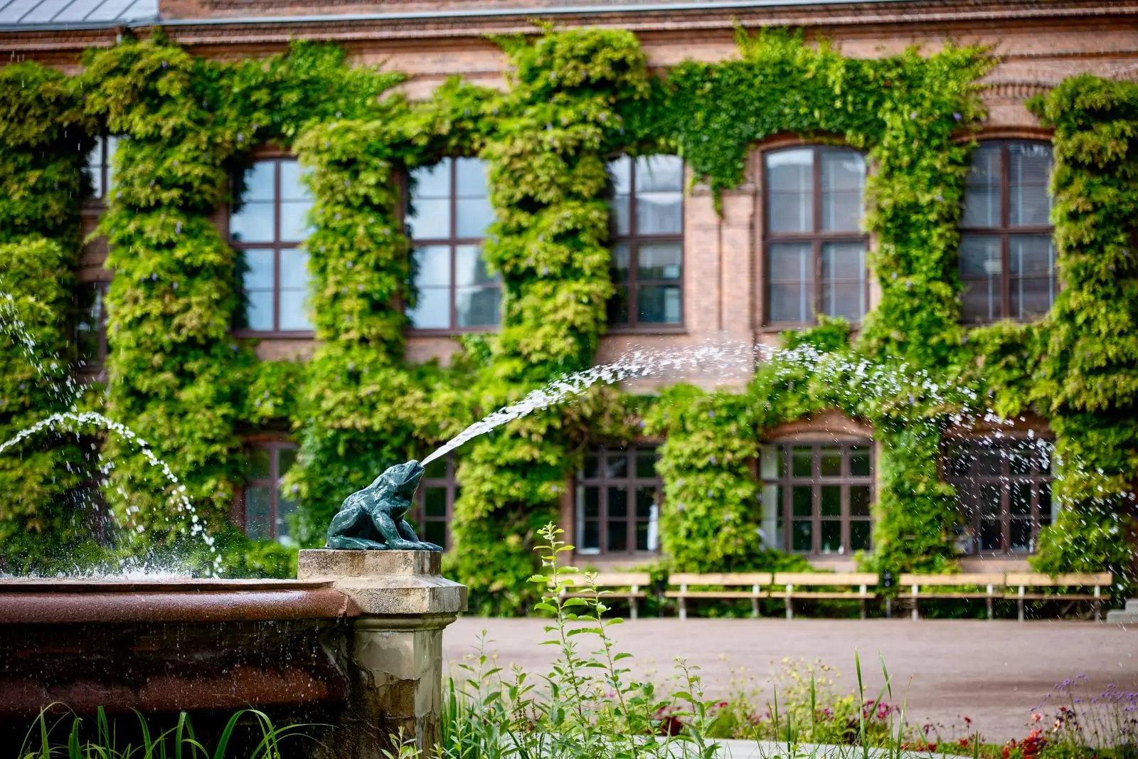 The frog fountain outside Lund University Library