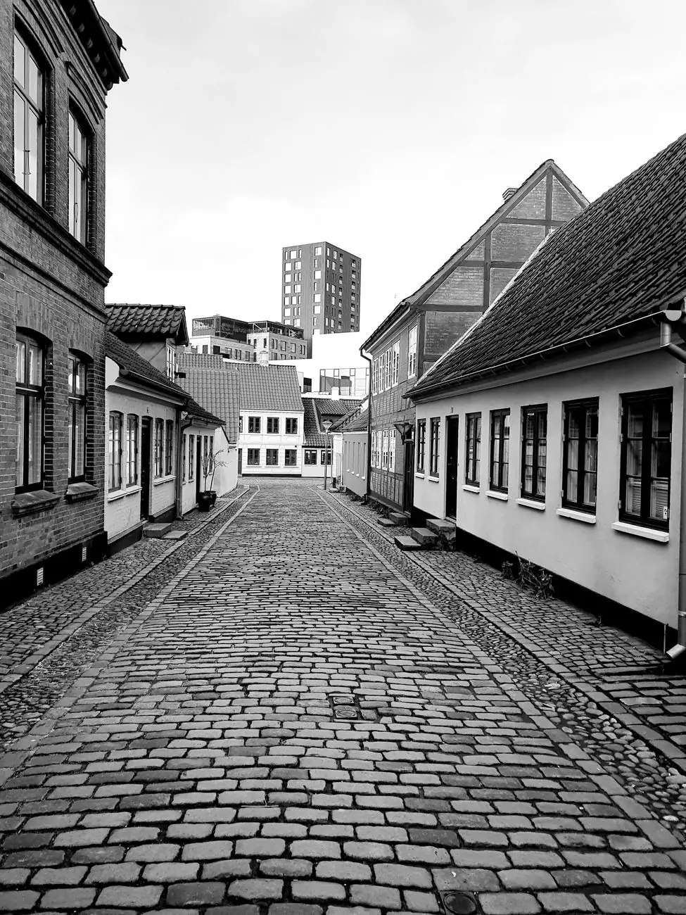 A cobbled Odense lane with the modern city beyond