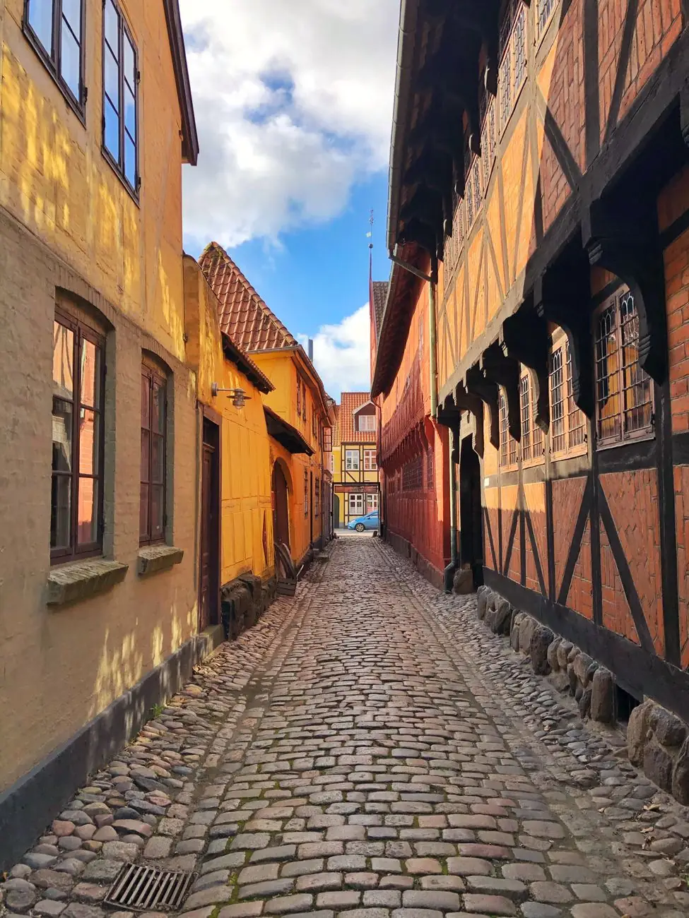Half-timbered houses along an Odense lane