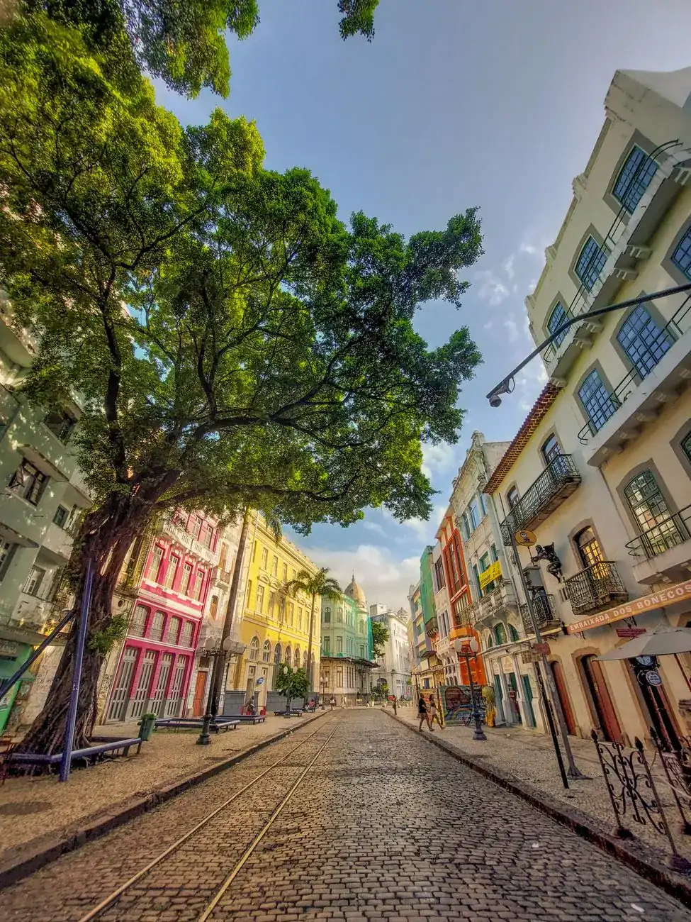 Colourful façades and trees along Rua do Bom Jesus in Recife Antigo