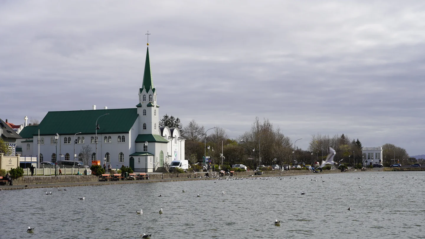Fríkirkjan’s green spire beside Tjörnin pond in central Reykjavík