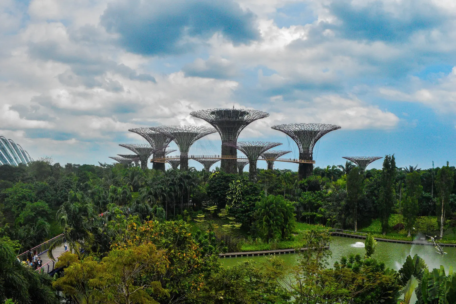 The Supertrees rise above greenery and water at Gardens by the Bay in Singapore.