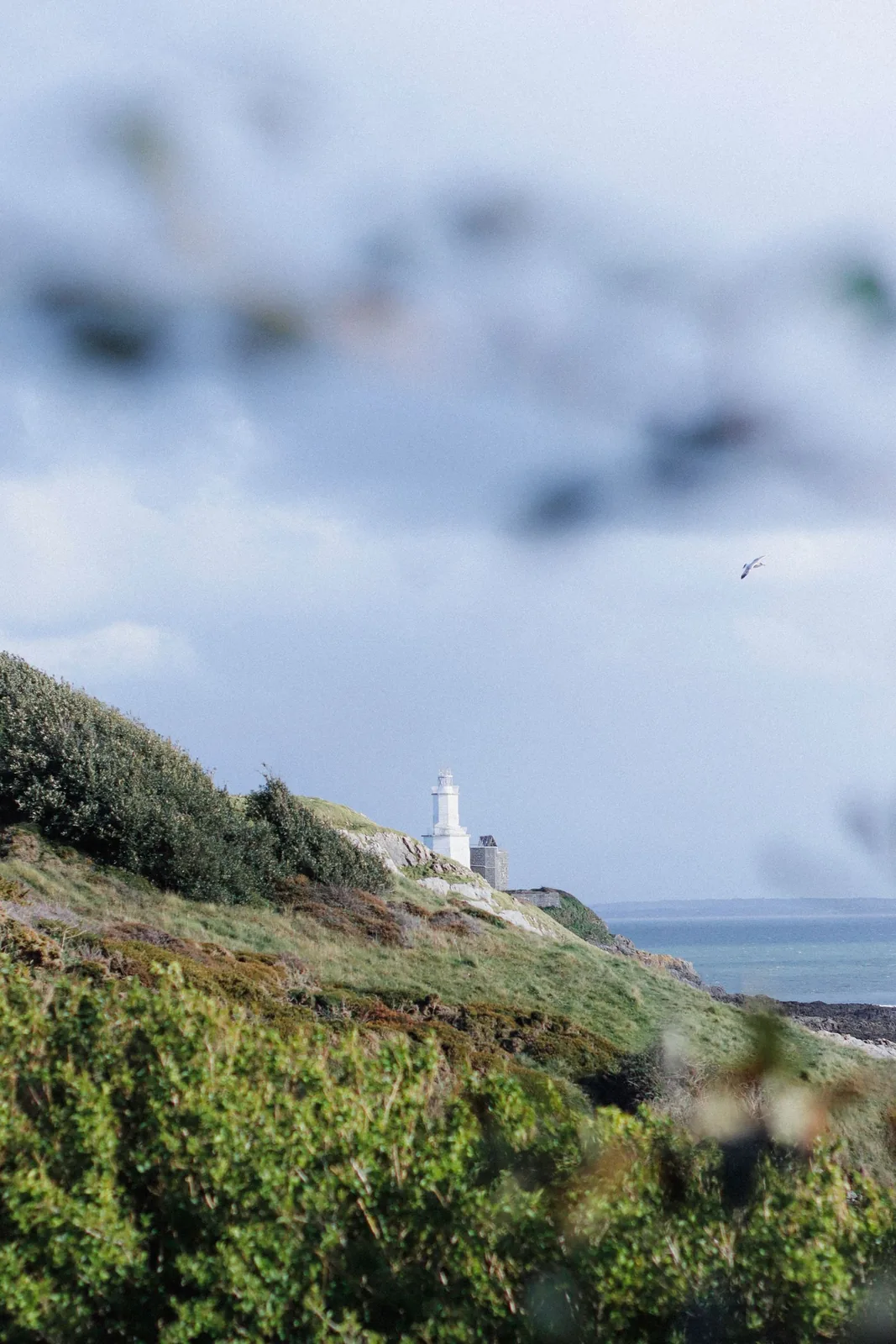 Mumbles Lighthouse and the green coastal headland in Swansea
