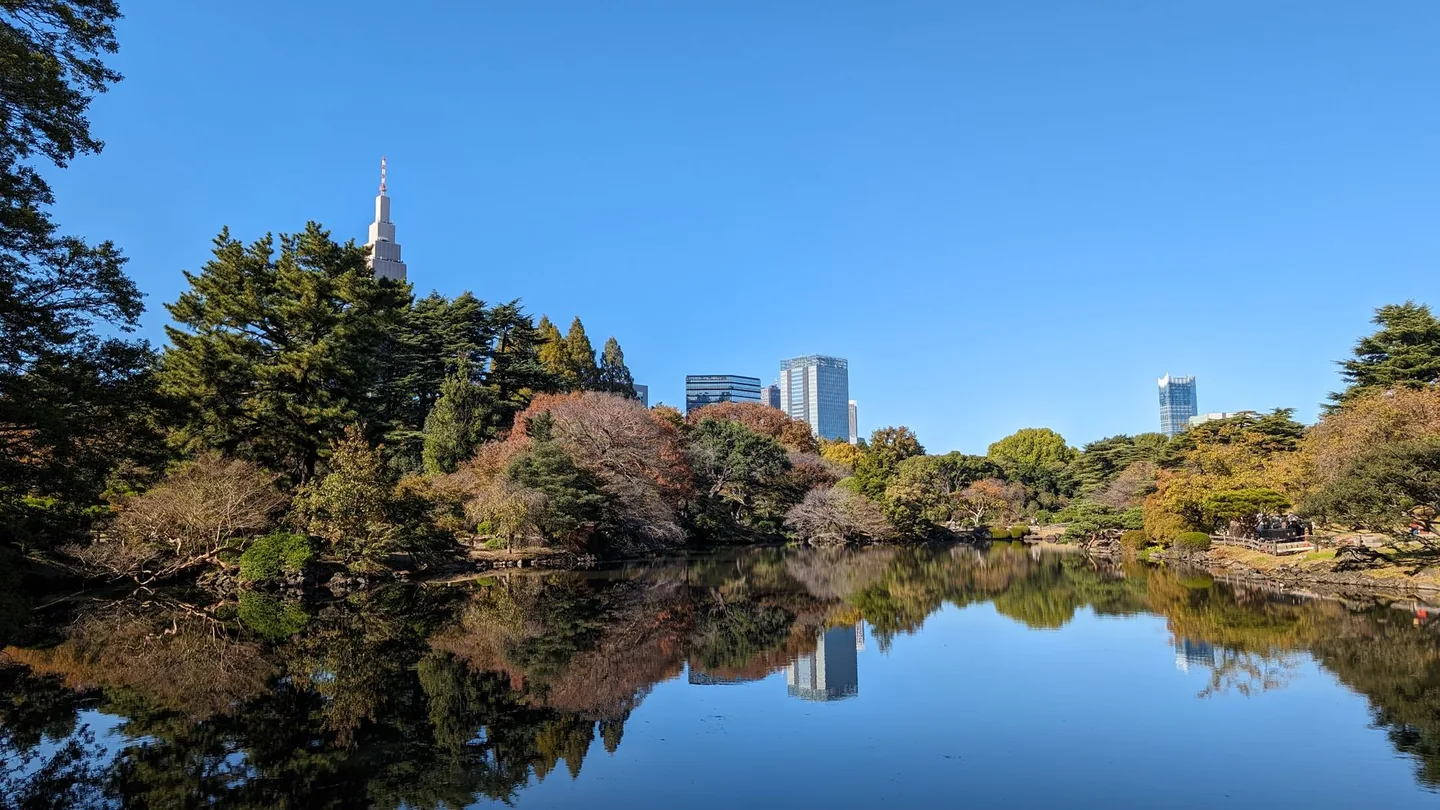Trees and the NTT Docomo Yoyogi tower reflected in a Shinjuku Gyoen pond