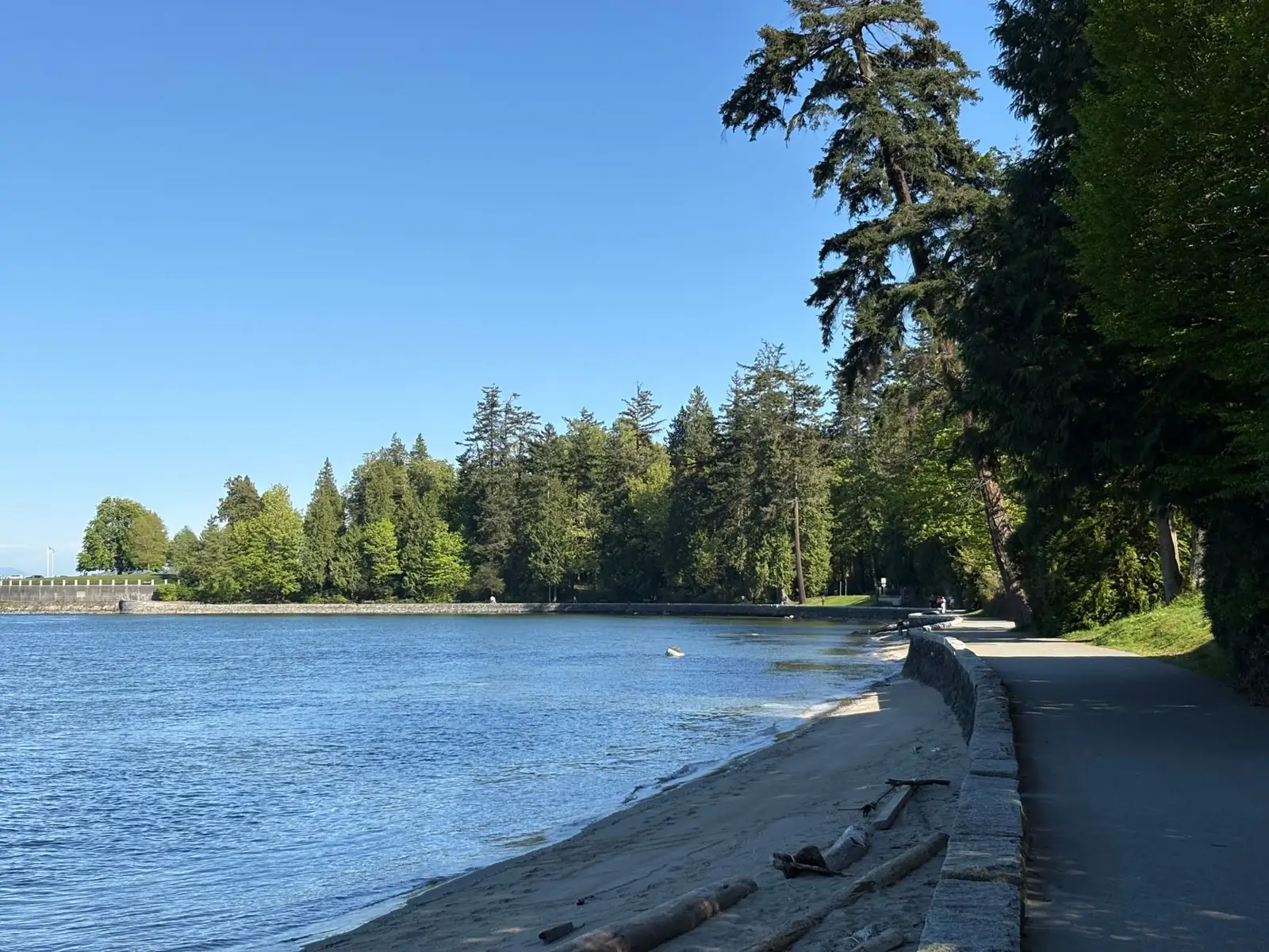 Trees and a stone-edged seawall path beside the water in Stanley Park