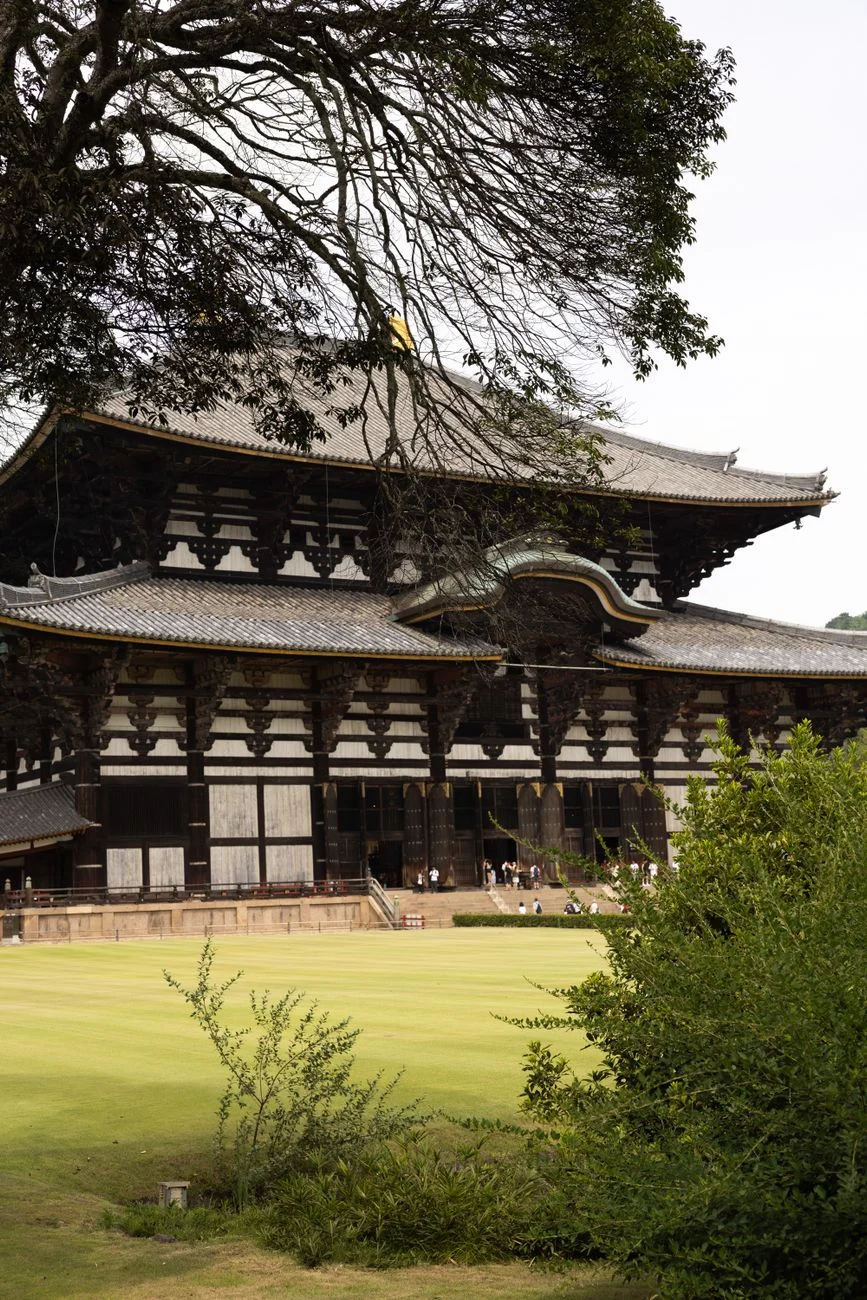 Todaiji’s Great Buddha Hall behind its lawn and mature trees in Nara